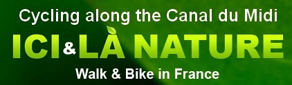 Cycling holidays along the Canal du Midi south France