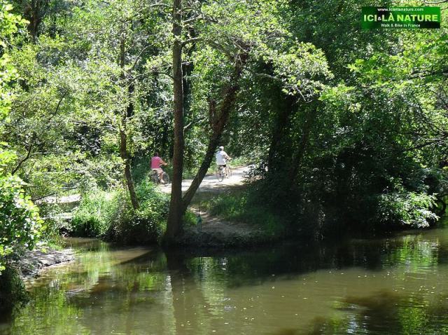 24-Ciron river near bordeaux biking