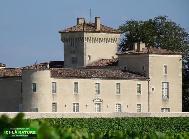 77-chateau lafaurie-peyraguey sauternes wine