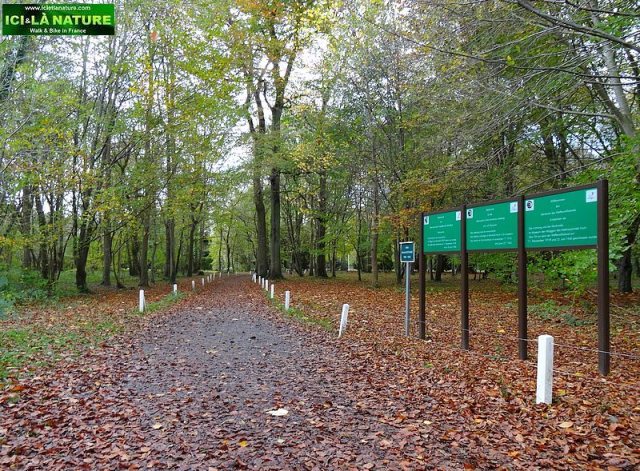 14-memorial clearing of the armistice compiegne forest