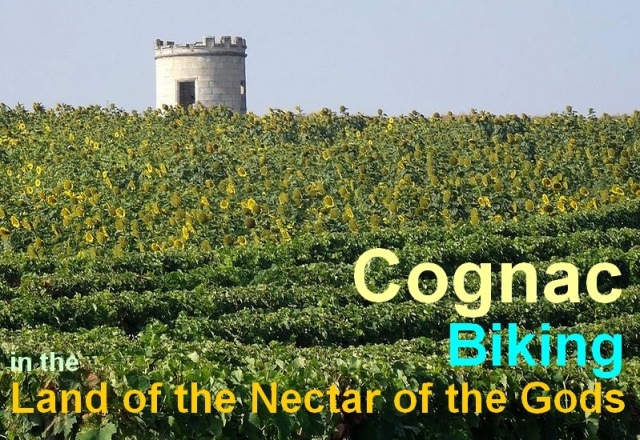 cognac biking holidays