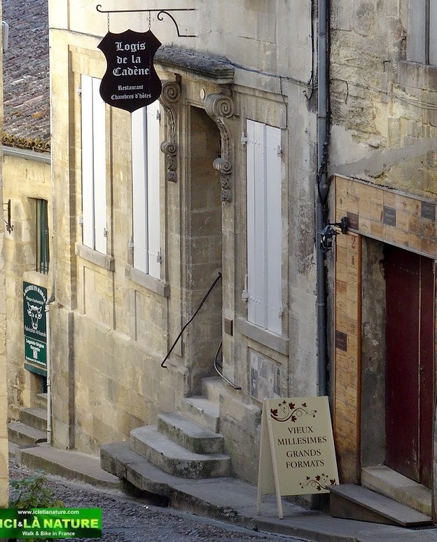 Saint-Emilion : Biking and Walking around Bordeaux High Class vineyards.