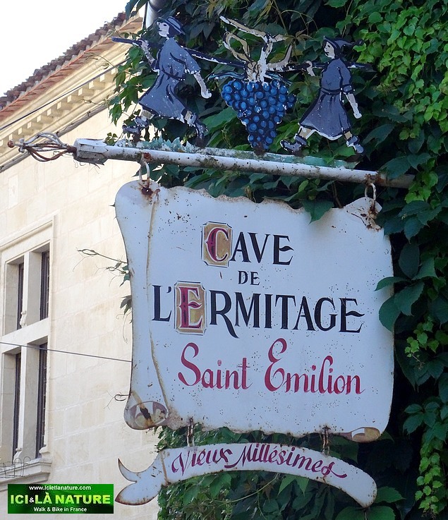 79-cave de l' ermitage saint emilion bordeaux vineyards