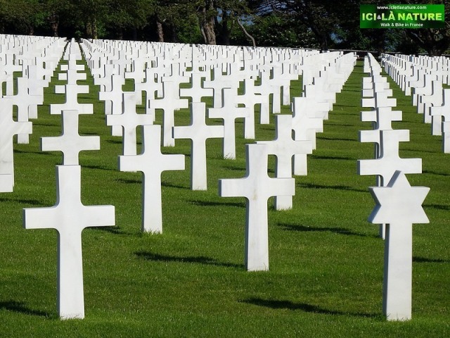 18-american graves normandy D-Day