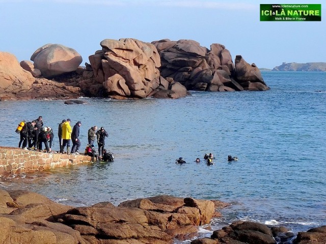 http://icietlanature.com/tour/11-brittany-guided-walking-group-along-the-pink-granite-coast