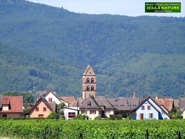 02-alsace cycling travel