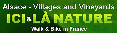 Alsace cycling holidays villages and vineyards