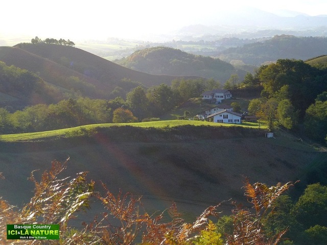 51-PAYSAGE PAYS BASQUE COUNTRY LANDSCAPE