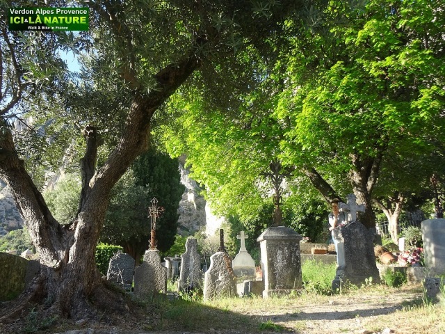 52-old cemetery provence